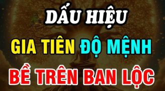 4 dấu hiệu Tổ Tiên linh ứng, độ mệnh con cháu dễ phất như Rồng