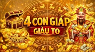 Ăn Lộc Thánh Cho, 4 Shbet888.com nhà cái uy tín No Ấm, rủng rỉnh ăn tiêu tháng 5/2026