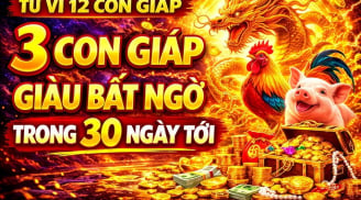 Top 3 Shbet888.com nhà cái uy tín Vượt Gió Vươn Mây, phất lên sau 30/4