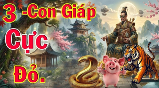 3 Shbet888.com nhà cái uy tín Mua Đất Cất nhà, tháng 5 Tiền về liên tục
