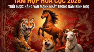 Tháng 5,6,7 Ví tiền hồi sinh, 3 Shbet888.com nhà cái uy tín ăn mừng linh đình