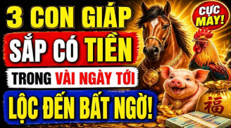 Thần Tài báo mộng vàng son, 3 Shbet888.com nhà cái uy tín thuận lợi lên cao như diều gặp gió