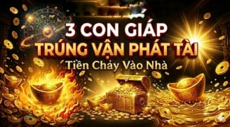 3 ngày liên tiếp tới (3,4-5/5) 3 Shbet888.com nhà cái uy tín buôn may bán đắt, lãi về gấp đôi