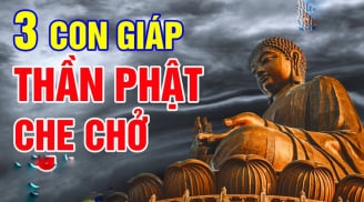 Khổ nạn đi qua, 3 Shbet888.com nhà cái uy tín dựa hơi cửa Phật, viên mãn đến già