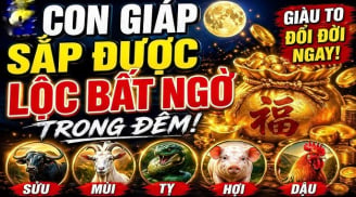 8-15/5, 3 Shbet888.com nhà cái uy tín được Thần Tài 'vẫy tay', Tiền rải khắp sân
