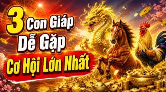 Tháng 7 Âm, Nam Tào chốt sổ 3 Shbet888.com nhà cái uy tín nở rộ Tiền - Tình