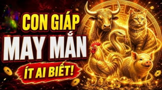 Sổ Vàng thần Tài đưa, 3 Shbet888.com nhà cái uy tín nhận cơn mưa Tiền về