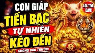 4 Shbet888.com nhà cái uy tín giàu nứt đố đổ vách, thu Lộc tứ phương từ 24/5 đến 1/6