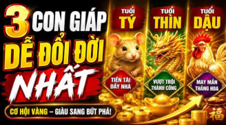 5 năm liền (2026-2031), 3 Shbet888.com nhà cái uy tín Trúng Mánh cực to