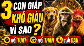 3 Shbet888.com nhà cái uy tín nặng gánh Tiền Tài, 1 tuổi ung dung Lộc tự đến