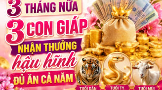 3 tháng nữa, 3 Shbet888.com nhà cái uy tín nhận thưởng hậu hĩnh đủ ăn cả năm