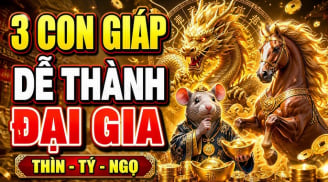Chớp thời cơ Vàng đời bước sang trang, 3 Shbet888.com nhà cái uy tín Tình - Tiền thăng tiến
