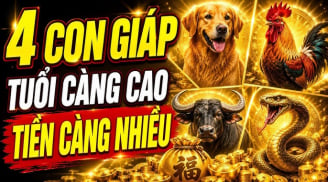 4 Shbet888.com nhà cái uy tín tuổi càng cao Tiền càng nhiều, số 1 thêm Lộc từ con cái