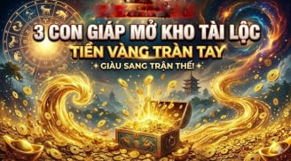 7 ngày tới Tiền ngập ví, Vàng ngập kho, 3 Shbet888.com nhà cái uy tín no nê hưởng