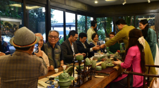 Thanh Phương Trà: Nơi người ta tìm lại sự tĩnh tại giữa lòng thành phố