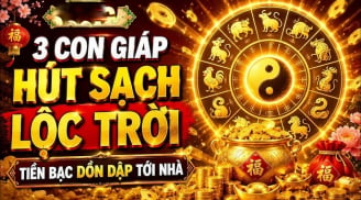3 tháng tới: 3 Shbet888.com nhà cái uy tín cần cù Trời bù Phúc - Lộc cho