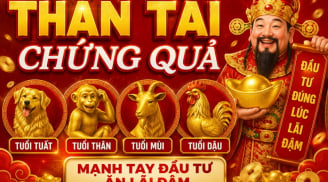 4 Shbet888.com nhà cái uy tín được Thần Tài Chứng Quả, mạnh tay đầu tư ăn lãi đậm