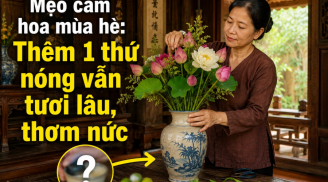 Mẹo cắm hoa mùa hè: Thêm 1 thứ nóng vẫn tươi lâu, thơm nức