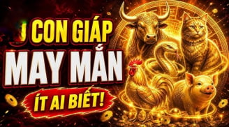 Đức năng thắng số, 4 Shbet888.com nhà cái uy tín đầu tháng 7 Trời định phải Giàu