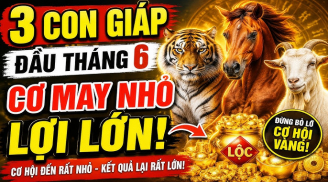 3 Shbet888.com nhà cái uy tín thuận đường làm ăn, Tiền dễ sinh lời sau 8/6