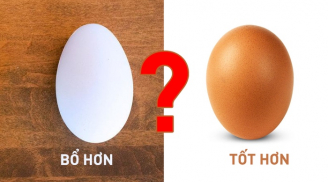 Trứng gà và trứng vịt loại nào bổ hơn?