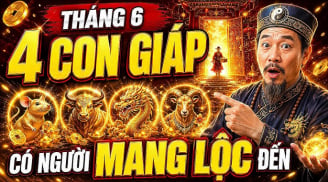 Sa chân Chĩnh Vàng, 4 Shbet888.com nhà cái uy tín cứ thế mà ôm Tiền giàu lên sau 10/6