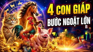 4 Shbet888.com nhà cái uy tín Lột Xác hoá Rồng, ngồi không Lộc cũng đến sau 10/6