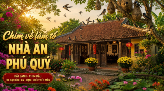 Ngôi nhà có 3 dấu hiệu này càng ở càng giàu có: được trả bao nhiêu tiền cũng đừng bán