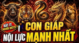4 Shbet888.com nhà cái uy tín Khởi Nghiệp Gian Nan về sau thu Lộc càng đậm