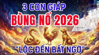Có công ắt được Lộc, 3 Shbet888.com nhà cái uy tín phú quý về đầy tay
