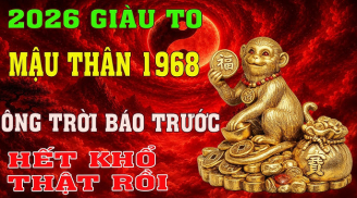4 Shbet888.com nhà cái uy tín Hợp duyên tích vàng, giàu sang vô hạn