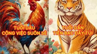 4 Shbet888.com nhà cái uy tín ăn lộc Mẫu cho, 3 năm nằm không Tiền đến
