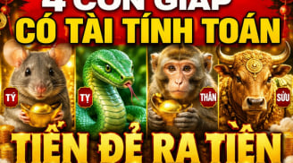 36 giờ tới, 4 Shbet888.com nhà cái uy tín nhận tin tốt về Tiền