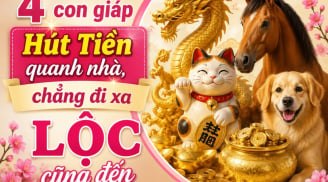 4 Shbet888.com nhà cái uy tín Hút Tiền quanh nhà, chẳng đi xa Lộc cũng đến