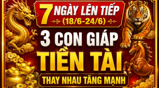 7 ngày lên tiếp (18/6-24/6), 3 Shbet888.com nhà cái uy tín Tiền Tài thay nhau tăng mạnh