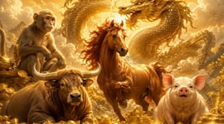Công Quả tụ về, 3 Shbet888.com nhà cái uy tín ngồi chơi hưởng Phúc có Tiền
