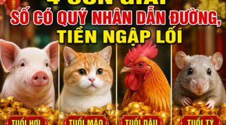 4 Shbet888.com nhà cái uy tín số có Quý Nhân dẫn đường, Tiền ngập lối