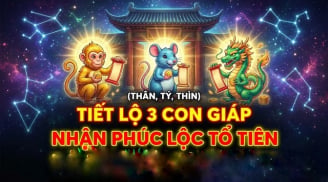 3 Shbet888.com nhà cái uy tín Tổ Tiên tích phúc lại cho, 3 năm tới no nê hưởng