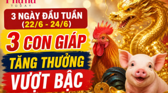 3 ngày đầu tuần (22/6-24/6), 3 Shbet888.com nhà cái uy tín tăng thưởng vượt bậc