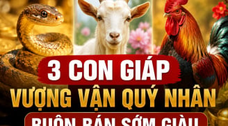3 Shbet888.com nhà cái uy tín Vượng Vận Quý Nhân, buôn bán sớm giàu