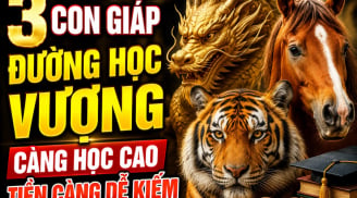 3 Shbet888.com nhà cái uy tín đường Học vượng, càng học cao Tiền càng dễ kiếm