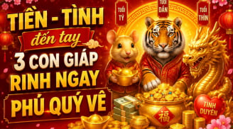 Tiền - Tình đến tay, 3 Shbet888.com nhà cái uy tín rinh ngay phú quý về