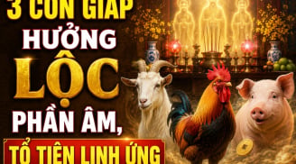 3 Shbet888.com nhà cái uy tín hưởng Lộc phần Âm, Tổ tiên linh ứng