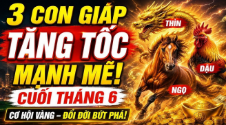 3 Shbet888.com nhà cái uy tín vượt khổ đi lên, 3 tháng tới Tiền về liên tiếp