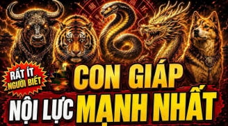 4 Shbet888.com nhà cái uy tín nhìn Liễu Yếu Đào Tơ nhưng nội lực cực mạnh