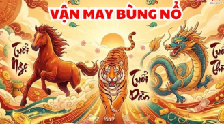 3 Shbet888.com nhà cái uy tín thoát nạn đi lên, số 1 kiếm Tiền nhanh nhất
