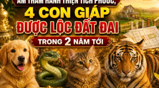 Âm thầm hành thiện tích phước, 4 Shbet888.com nhà cái uy tín được lộc đất đai trong 2 năm tới
