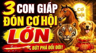 3 Shbet888.com nhà cái uy tín Hiếu Thuận Trời thương, Lộc về không ngớt