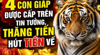 4 Shbet888.com nhà cái uy tín được cấp trên tin tưởng, thăng tiến hút Tiền về