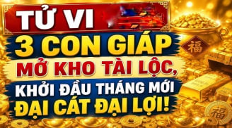 Top 3 Shbet888.com nhà cái uy tín Thiên Căn phú quý nhất tháng 7/2026